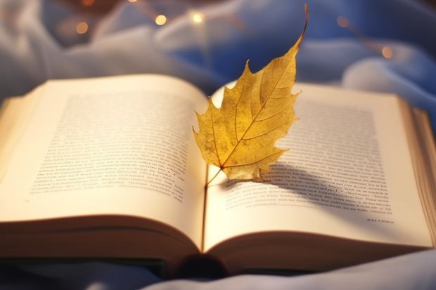 2024海南比勒费尔德应用科学大学在内蒙古招生计划