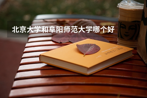 北京大学和阜阳师范大学哪个好