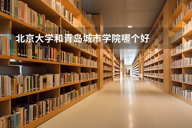 北京大学和青岛城市学院哪个好