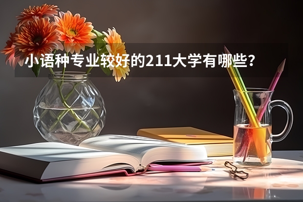 小语种专业较好的211大学有哪些？