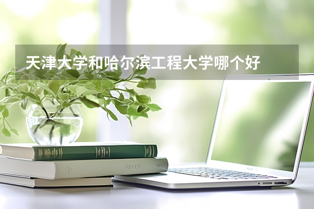 天津大学和哈尔滨工程大学哪个好