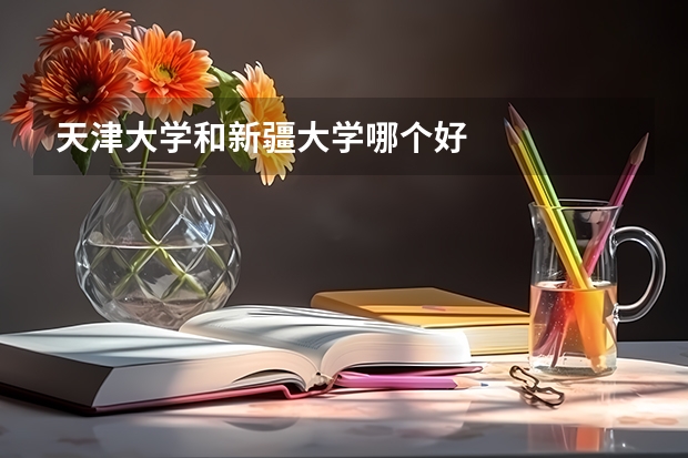 天津大学和新疆大学哪个好