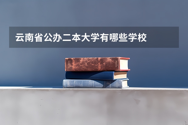 云南省公办二本大学有哪些学校