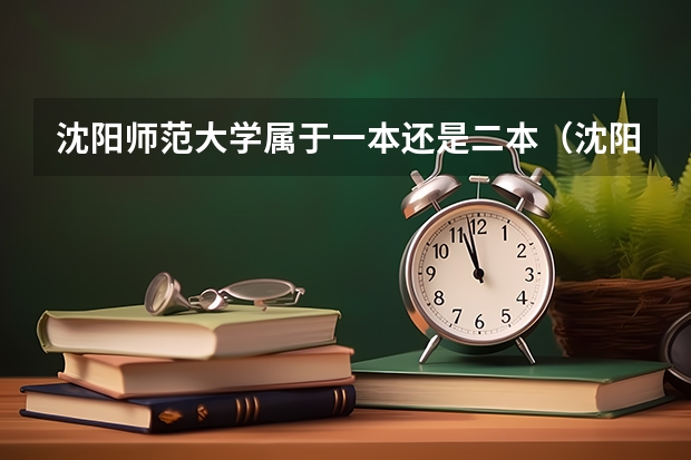 沈阳师范大学属于一本还是二本（沈阳师范大学是一本还是二本学校）