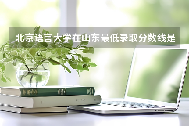 北京语言大学在山东最低录取分数线是多少