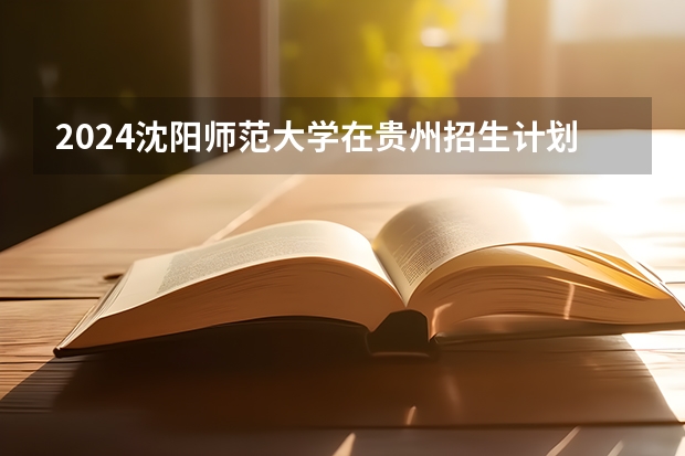 2024沈阳师范大学在贵州招生计划