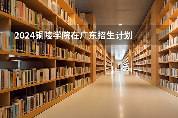 2024铜陵学院在广东招生计划