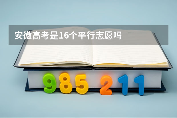 安徽高考是16个平行志愿吗