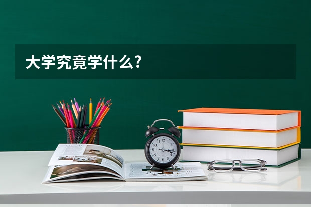 大学究竟学什么?