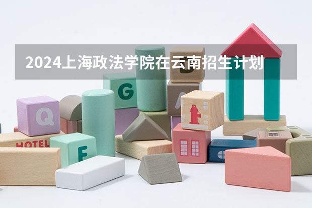 2024上海政法学院在云南招生计划