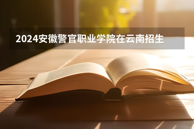 2024安徽警官职业学院在云南招生计划