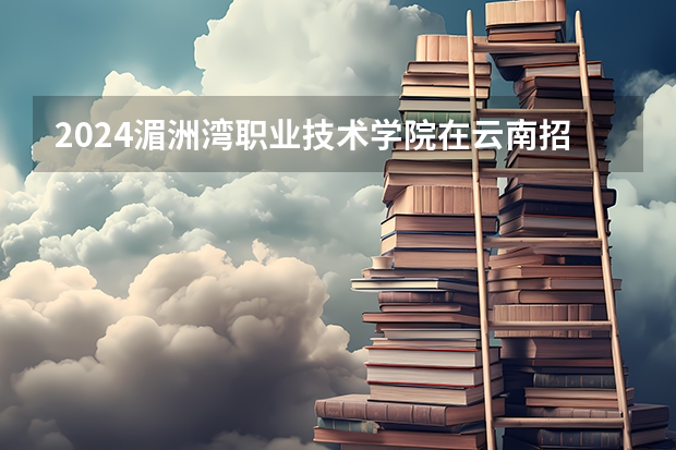2024湄洲湾职业技术学院在云南招生计划