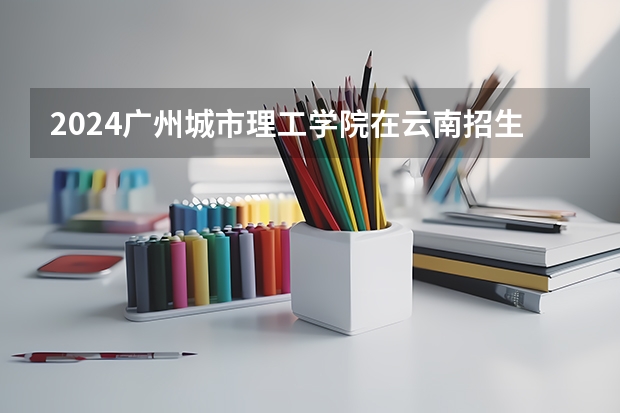 2024广州城市理工学院在云南招生计划
