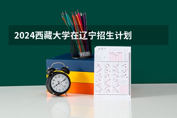 2024西藏大学在辽宁招生计划
