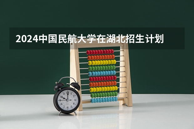 2024中国民航大学在湖北招生计划
