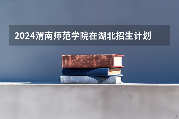 2024渭南师范学院在湖北招生计划
