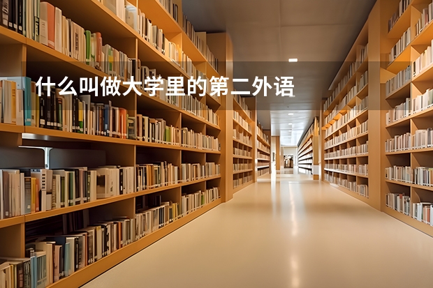 什么叫做大学里的第二外语