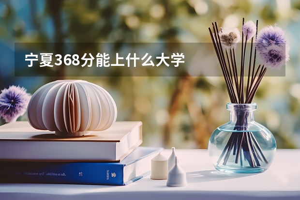 宁夏368分能上什么大学