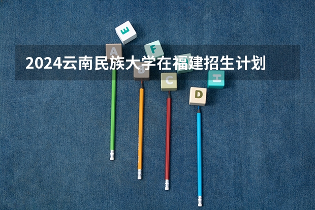 2024云南民族大学在福建招生计划