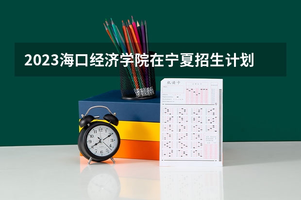 2023海口经济学院在宁夏招生计划