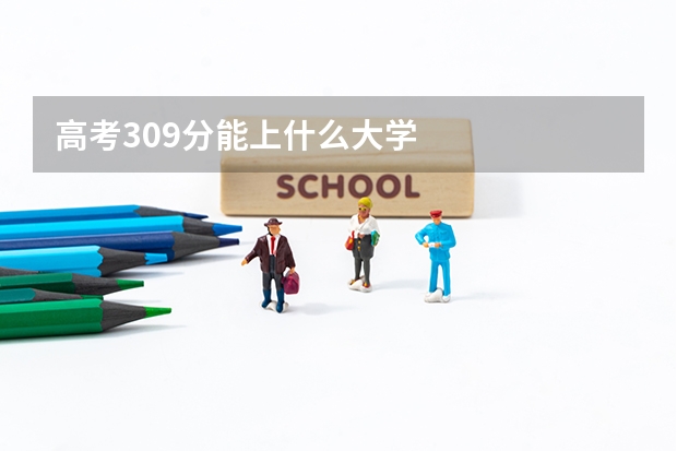 高考309分能上什么大学