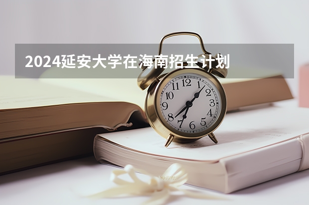 2024延安大学在海南招生计划