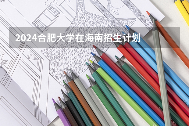 2024合肥大学在海南招生计划