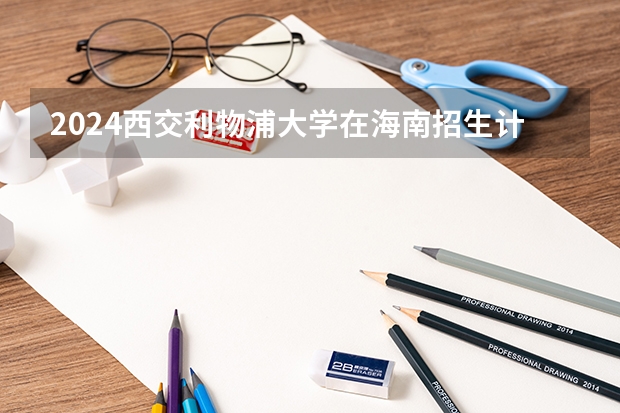 2024西交利物浦大学在海南招生计划