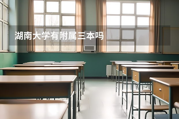 湖南大学有附属三本吗