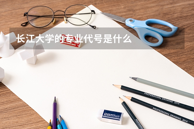 长江大学的专业代号是什么