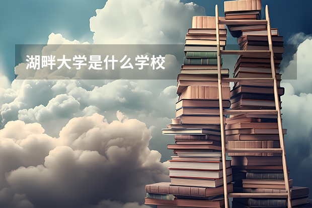 湖畔大学是什么学校