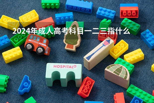 2024年成人高考科目一二三指什么