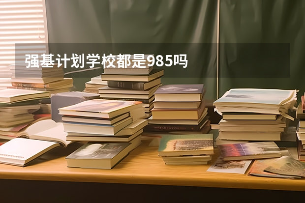 强基计划学校都是985吗