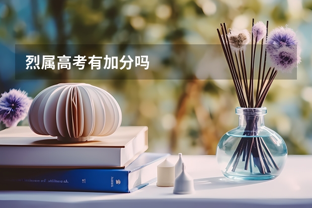 烈属高考有加分吗