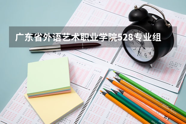 广东省外语艺术职业学院528专业组是什么