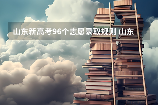 山东新高考96个志愿录取规则 山东96个平行志愿录取规则 山东各批次平行志愿录取规则