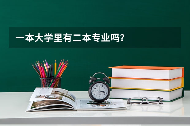 一本大学里有二本专业吗？