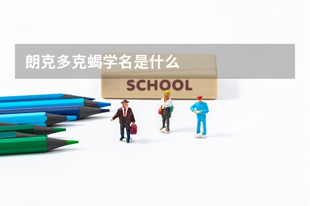 朗克多克蝎学名是什么