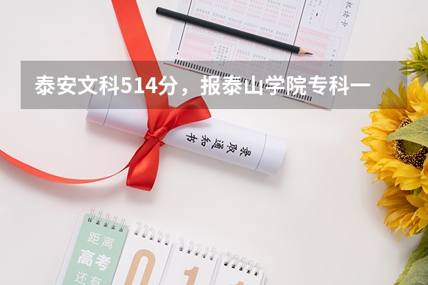 泰安文科514分，报泰山学院专科一批有希望吗？急急！！