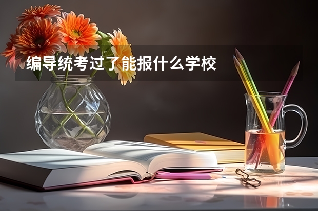 编导统考过了能报什么学校