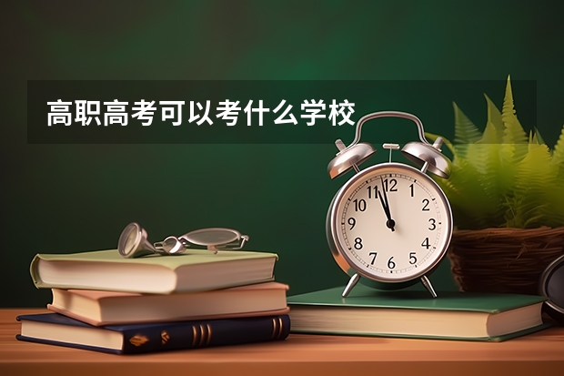 高职高考可以考什么学校