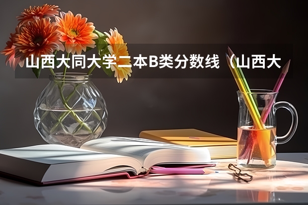 山西大同大学二本B类分数线（山西大同大学再别的省是几本啊）