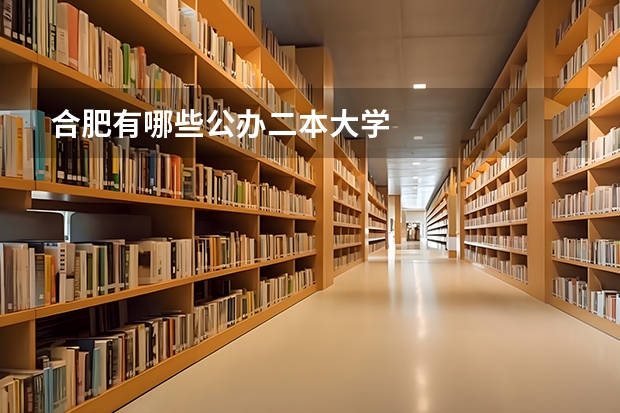 合肥有哪些公办二本大学