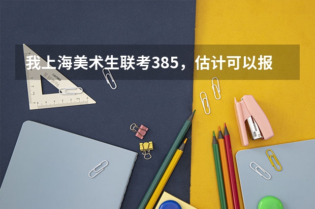 我上海美术生联考385，估计可以报考什么大学