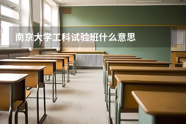 南京大学工科试验班什么意思