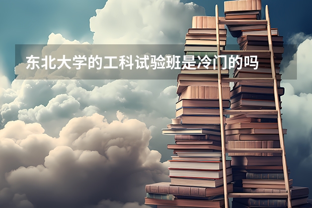 东北大学的工科试验班是冷门的吗