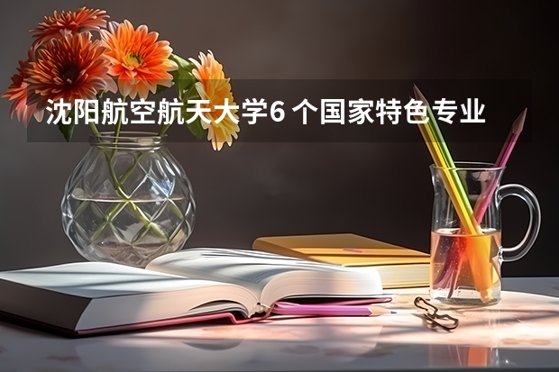 沈阳航空航天大学6 个国家特色专业是什么