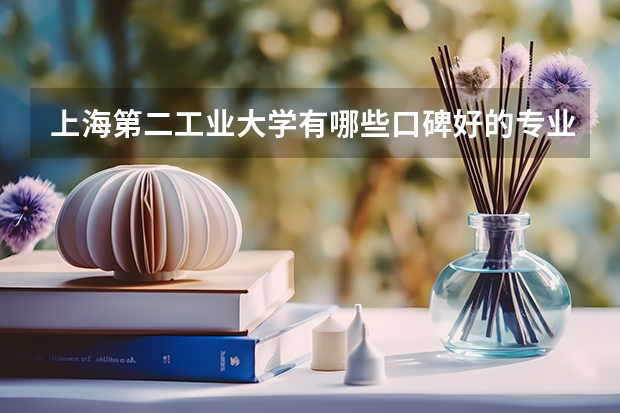 上海第二工业大学有哪些口碑好的专业值得就读？