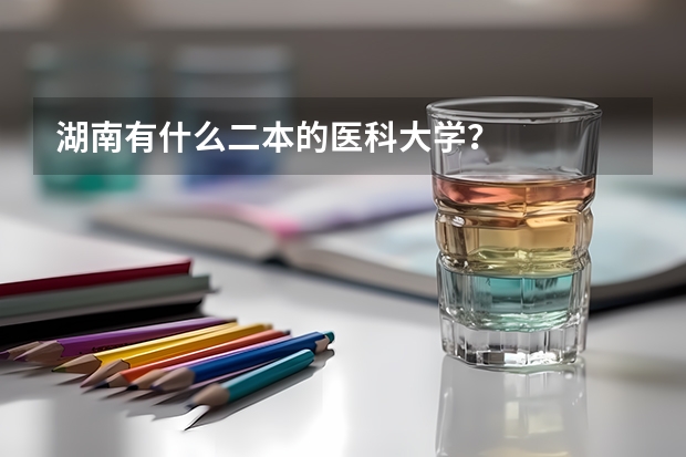 湖南有什么二本的医科大学?