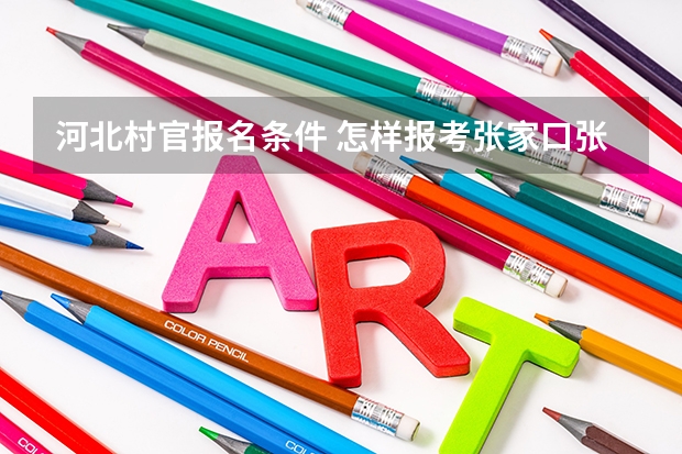 河北村官报名条件 怎样报考张家口张北县的大学生村官